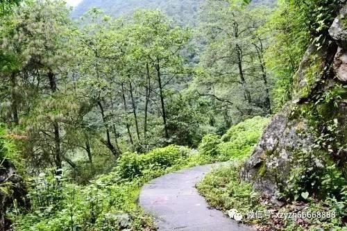 超能战区