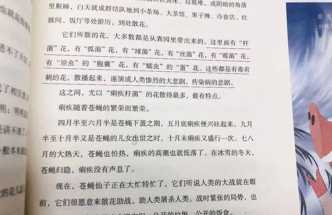 迷你淘气猪逃脱