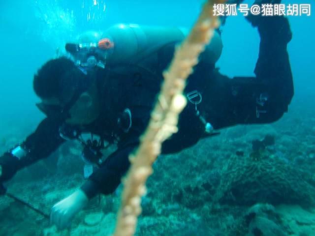 万亿魔坏神