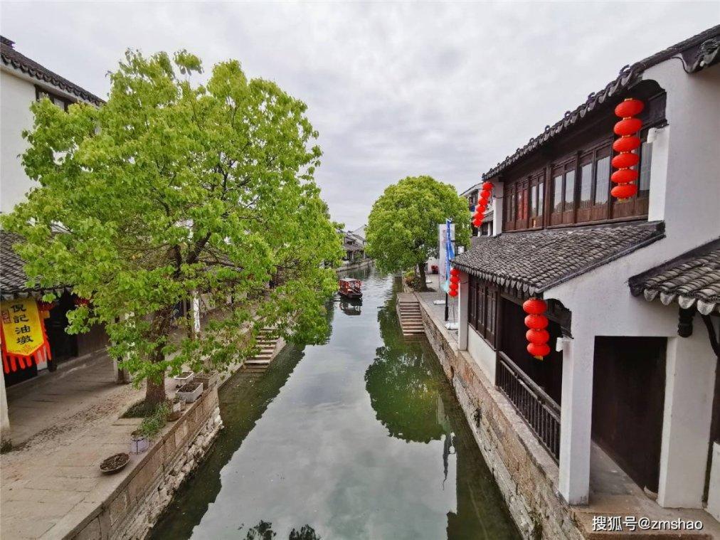 没有满月鹦鹉能碰水吗养了30多天？游戏画面