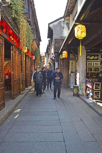 逃离马儿森林