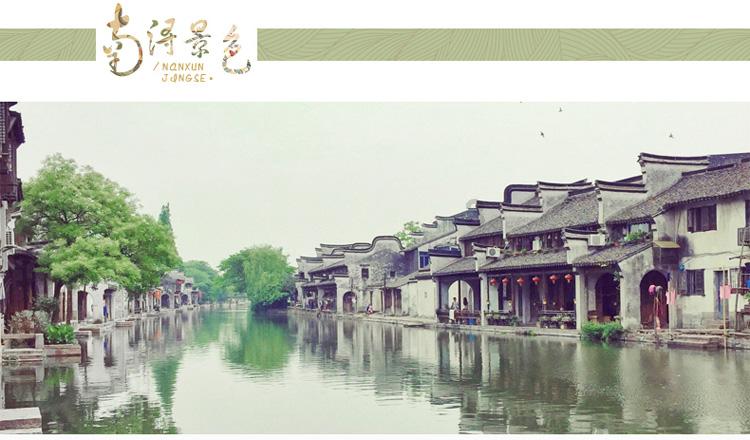 解救金刚鹦鹉